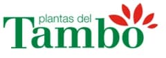 Plantas del Tambo